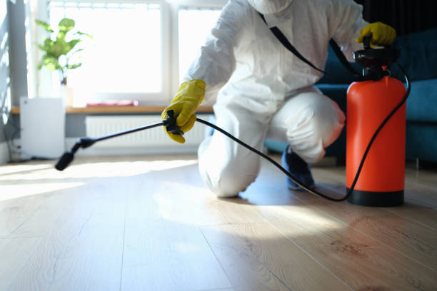 Reliable Biohazard Cleanup contractor in Overton, TX by Dulley Family Biohazard Services